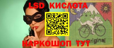 винт Славгород