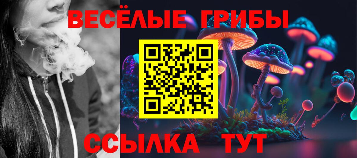 Псилоцибиновые грибы Psilocybe Новый Уренгой